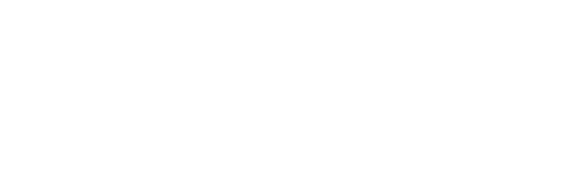 BPM Consulting